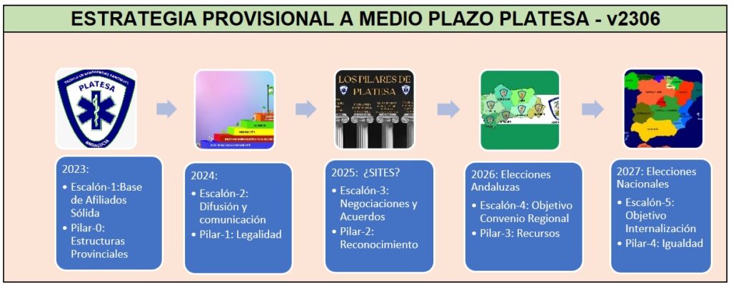 estrategia a medio plazo PLATESA