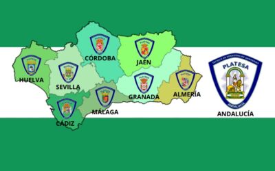 PLATESA ANDALUCIA, ALMERIA, GRANADA, MALAGA, CADIZ, CORDOBA, SEVILLA, JAEN, HUELVA