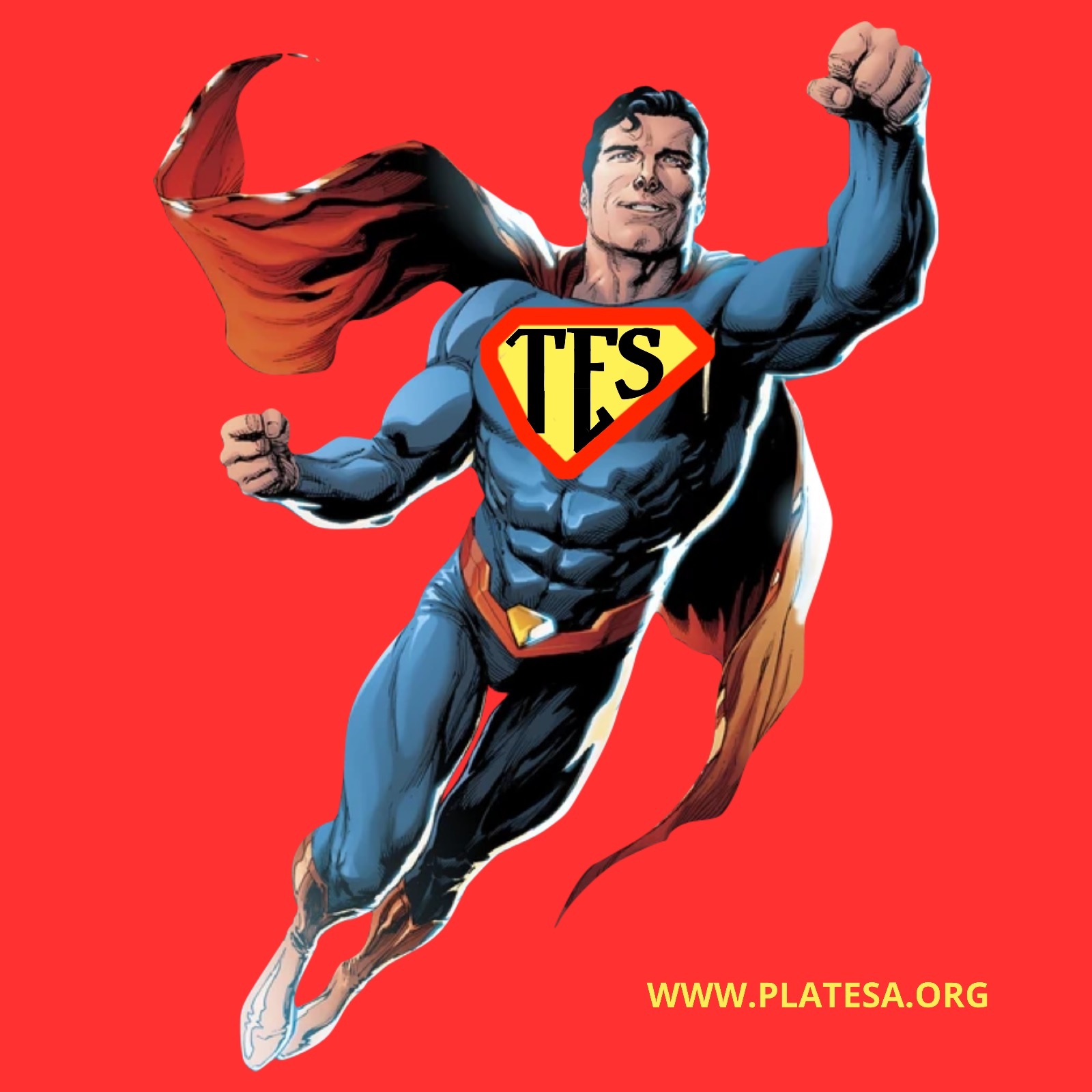 platesa tes técnicos en emergencias sanitarias de andalucia