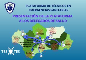PLATESA SEVILLA
