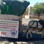 Carro tirado por un caballo con una pancarta de PLATESA que denuncia que la Consejería de Salud y el SAS no cumplen con los TES de Andalucía.
