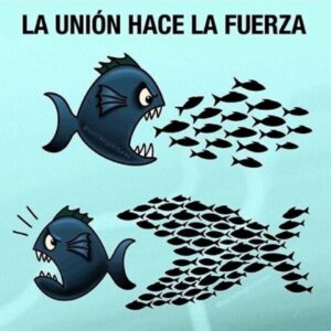 la union hace la fuerza