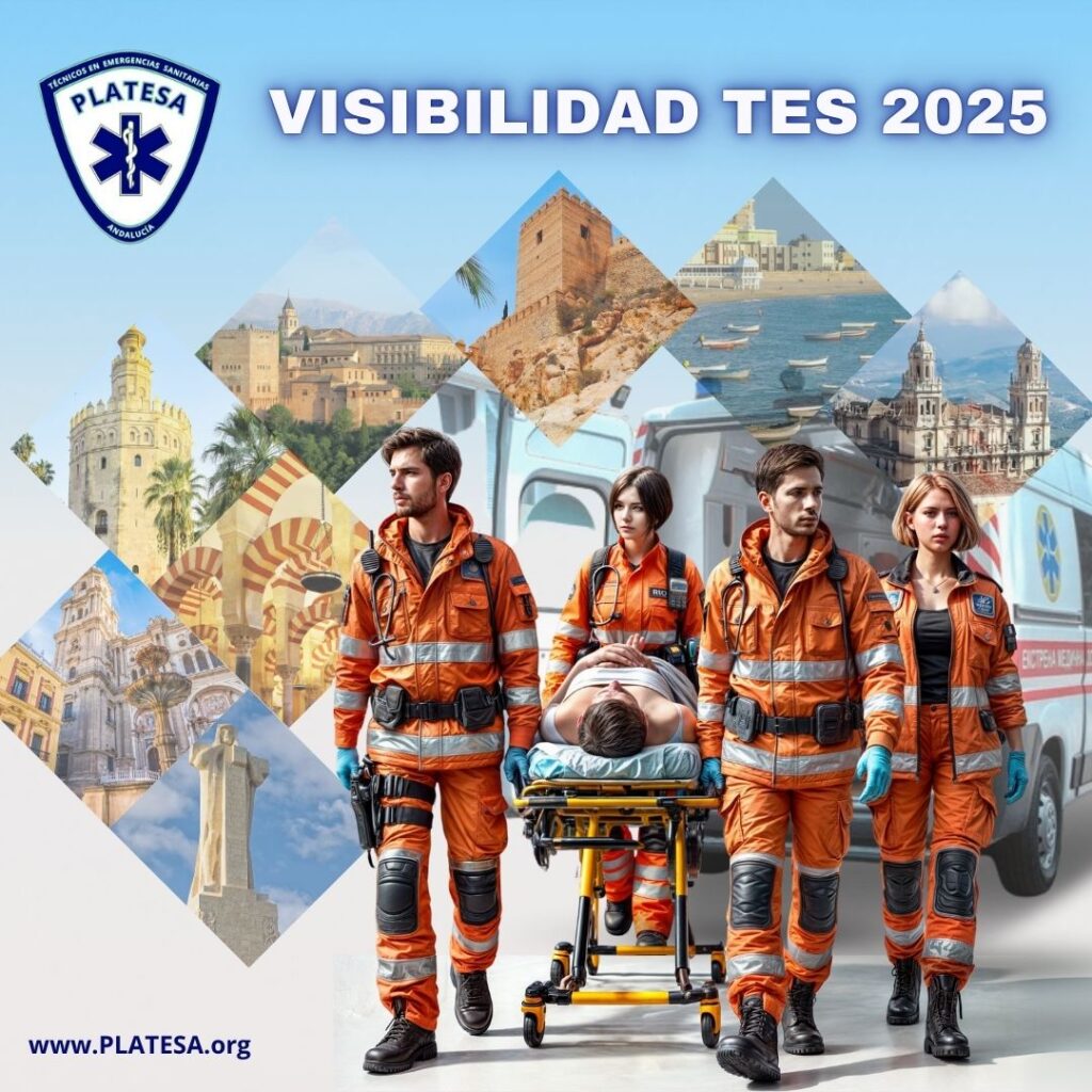 Próximas Charlas de PLATESA: Programa VISIBILIDAD TES 2025 - Plataforma ...