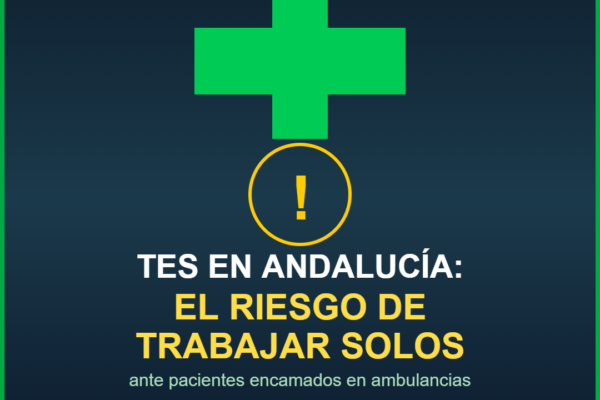 TES en Andalucía: el riesgo de trabajar solos ante pacientes encamados - PLATESA