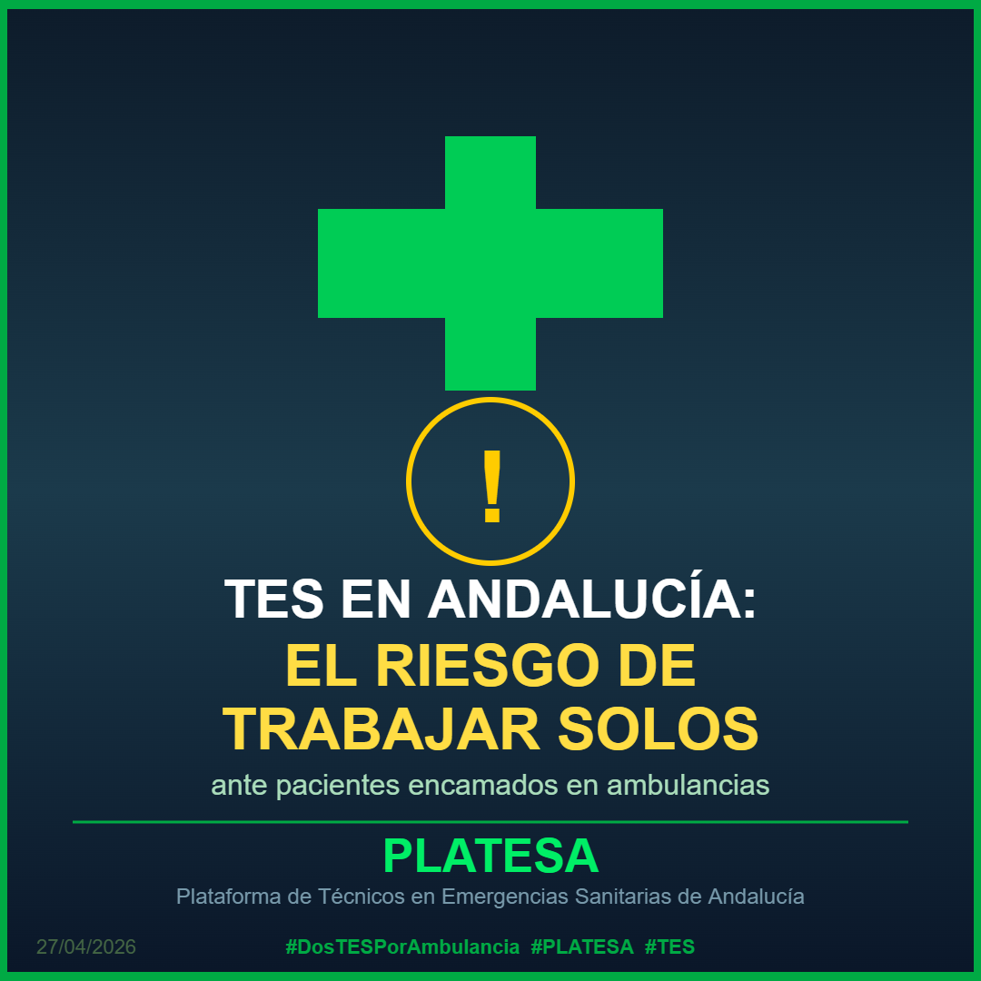TES en Andalucía: el riesgo de trabajar solos ante pacientes encamados - PLATESA